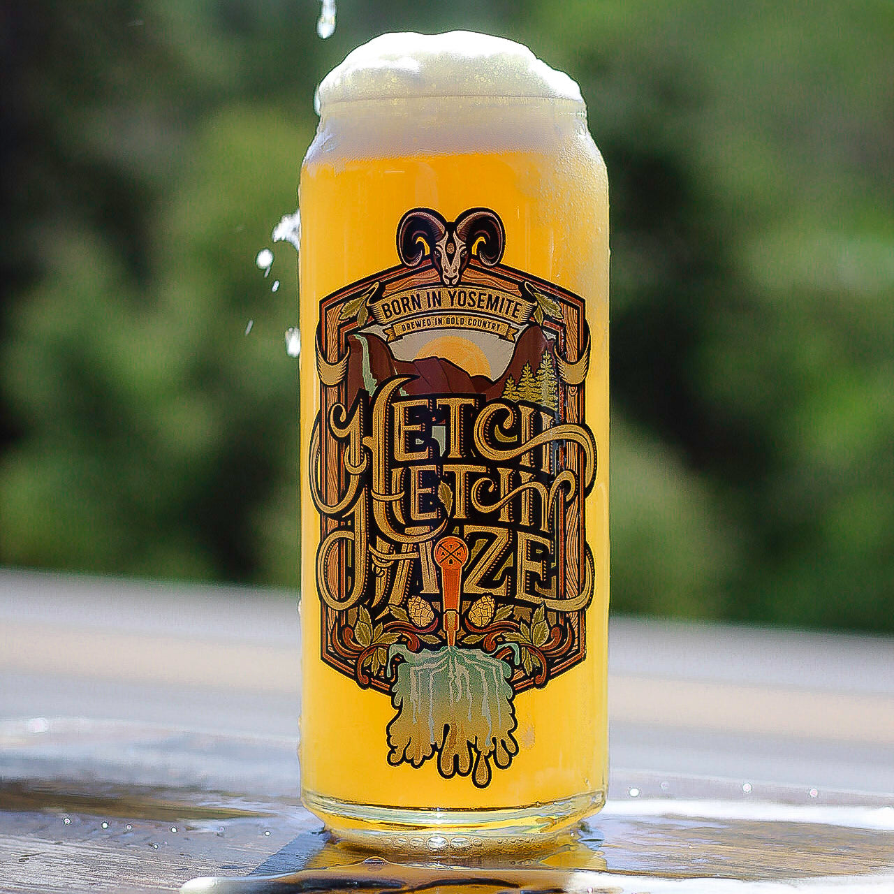 Hetch Hetchy Haze: Citra, Mosaic, Nelson