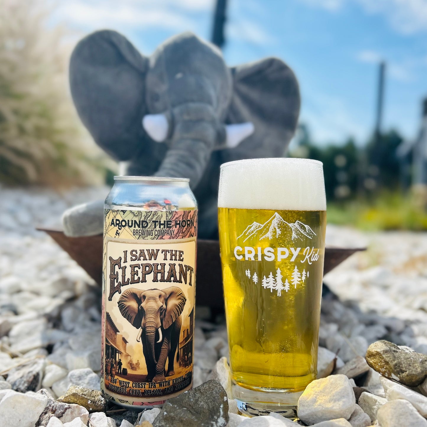 I Saw the Elephant
